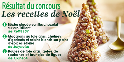 CONCOURS FABULEUX NOEL