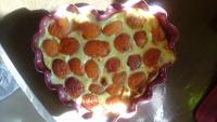 Flan aux abricots