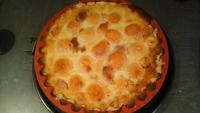 Tarte abricots nectarine recette Tatie Danielle !