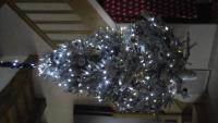 Mon booooooo Sapin !