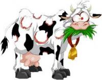 MARGUERITE le lait est il pret?