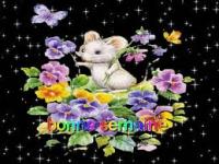 oh j ai piquee les fleurs a Joly....