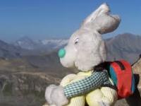 bon Jeannot magne toi la carotte.. tu regardes un mont du sud? allez les filles ont faim et n ont pas de fleurs.. vite mon grand