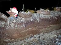 buche royale