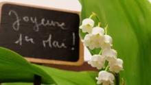 bonne journee a toutes on ne bosse pas surtout possible ca ?