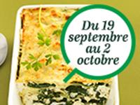 CONCOURS RECETTES « Tout le monde aime les lasagnes »