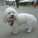 Profile picture for user BERAUT Martine