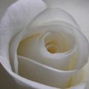 Profile picture for user sylvie-77