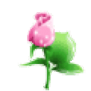 Profile picture for user tissot
