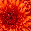 Profile picture for user Laetitia J