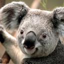Profile picture for user Muriel MAILLAT
