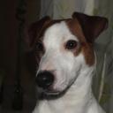 Profile picture for user Laëticia71600