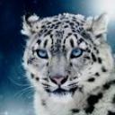 Profile picture for user Darkryss