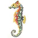 Profile picture for user hippocampe