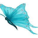 Profile picture for user StephF68260