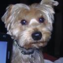 Profile picture for user cachou17