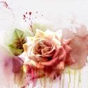 Profile picture for user sylvieo54
