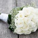 Profile picture for user charlene49