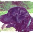 Profile picture for user la bann
