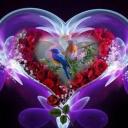 Profile picture for user lili-ducher