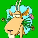 Profile picture for user Neige tite neige