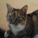 Profile picture for user Christine A