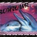Profile picture for user dauphin54