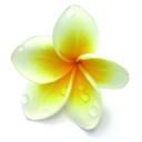 Profile picture for user choupie38