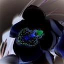 Profile picture for user szkud