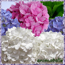 Profile picture for user MounetteChou1956