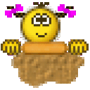 Profile picture for user brig084