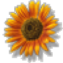 Profile picture for user biasotto