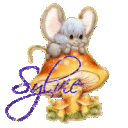 Profile picture for user SYLBIBA
