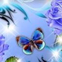 Profile picture for user Papillon32