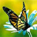 Profile picture for user mariejo13280