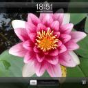 Profile picture for user No23am