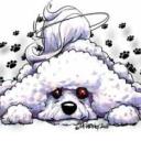 Profile picture for user viviget