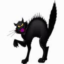 Profile picture for user angou251