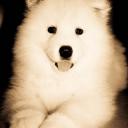 Profile picture for user Priscilla.D