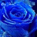 Profile picture for user marie29