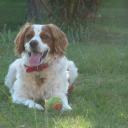 Profile picture for user lambertlaetitia9949@neuf.fr