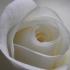 Profile picture for user sylvie-77