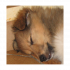 Profile picture for user nonolle63