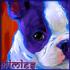 Profile picture for user mimies1