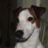Profile picture for user Laëticia71600