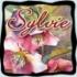 Profile picture for user sylvie62690