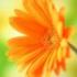 Profile picture for user annabelle84