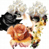 Profile picture for user belleisa42