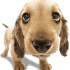 Profile picture for user ddidine57