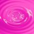 Profile picture for user MissCitrouille